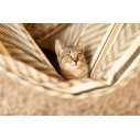La Siesta Habana Zebra Poltrona sospesa Kingsize in cotone biologico ambientazione