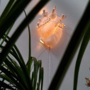 Heart Lamp Seletti ambientazione