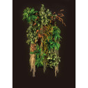 Kalalau Wall Giardino Verticale VGnewtrend vista