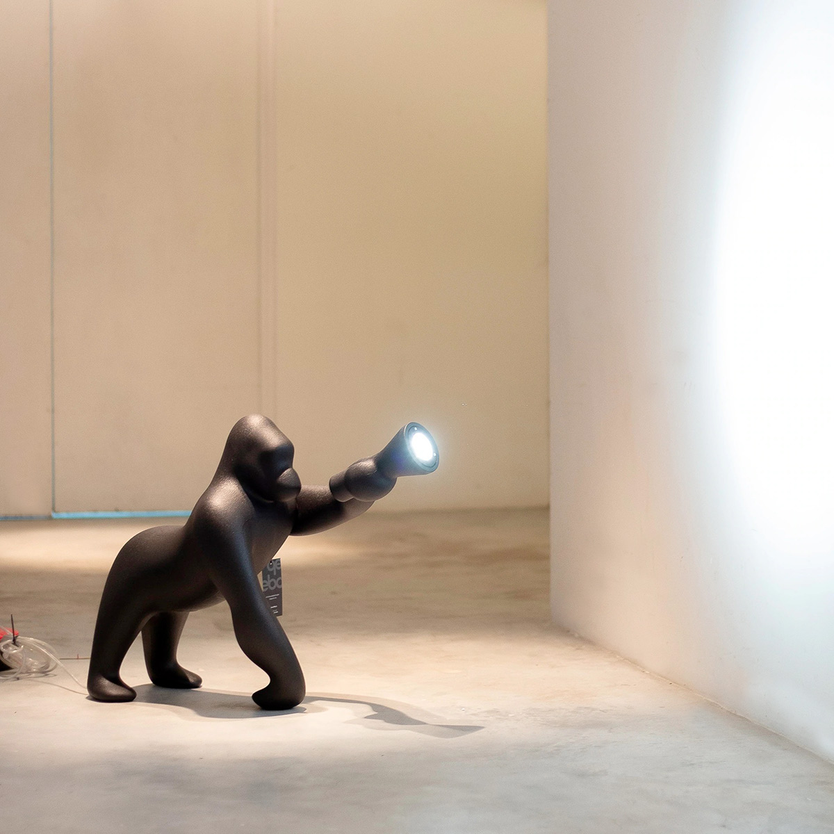 Kong xs clearance