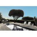 Lady Lettino Talenti Outdoor ambientazione