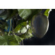 Lampadario Lotus Glass Eggs H 100 150x150 VGnewtrend dettaglio