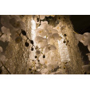 Lampadario Phalenopsis Flowers Power H 80 105X60 VGnewtrend dettaglio