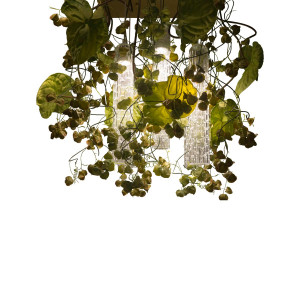 Lampadario Phisalis E Anthurium Flowers Power H 80 105x60