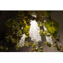 Lampadario Phisalis E Anthurium Flowers Power H 80 65x65 VGnewtrend dettaglio