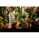 Lampadario Poppy Square Flowers Power H 80 Ø60 VGnewtrend dettaglio