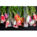 Lampadario Tulip Flowers Power H 80 105X105 VGnewtrend dettaglio