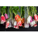 Lampadario Tulip Flowers Power H 80 65x65 VGnewtrend dettaglio