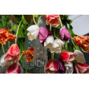 Lampadario Tulip Flowers Power H 80 65x65 VGnewtrend dettaglio
