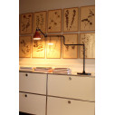 Lampe Gras n°317 Lampada da tavolo DCW éditions ambientazione