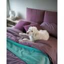 Letto Noah H 10 Fix Noctis ambientazione