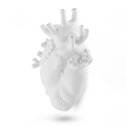 Love in Bloom Giant Vaso Seletti vista