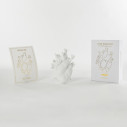Love in Bloom Vaso Seletti vista