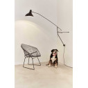Mantis BS2 Lampada da parete DCW éditions ambientazione