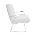 Knoll Mies Van Der Rohe Tugendhat Poltrona con braccioli in pelle vista