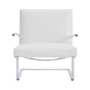 Knoll Mies Van Der Rohe Tugendhat Poltrona con braccioli in pelle vista