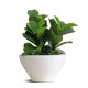 Ming Large vaso Ø 80 Serralunga vista
