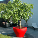 Ming Small vaso Serralunga ambientazione