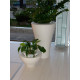 Ming Small vaso Serralunga ambientazione