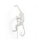 Monkey Lamp Hanging Right Hand White Seletti vista