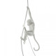 Monkey Lamp Ceiling White Seletti vista