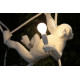 Monkey Lamp Swing White Seletti ambientazione