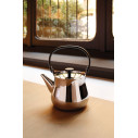 Alessi NF01 Bollitore-Teiera in acciaio Inox ambientazione