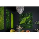 Lichene Giardino Verticale VGnewtrend ambientazione