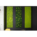Lichene Giardino Verticale VGnewtrend ambientazione