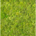Polemoss Giardino Verticale VGnewtrend dettaglio