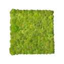 Polemoss Giardino Verticale VGnewtrend vista