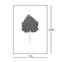 Leaves Serigrafia Paulownia tomentosa - Paulonia Magis dimensioni