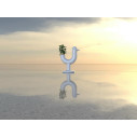Peacock Vaso fioriera Vondom ambientazione