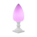 Pina Lampada da esterno LED RGBW Batteria ricaricabile a cavo cambio colore
