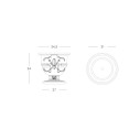 Pot of Love Slide dimensioni