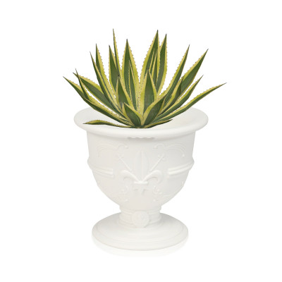 Pot of Love Vaso