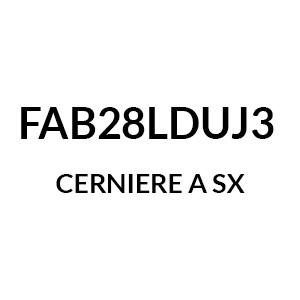 FAB28LDUJ3 - Cerniere a Sx