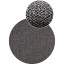 Grey Mud Star