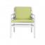 Bianco - Lime