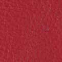 Pelle anilina rosso (+€ 599,14)