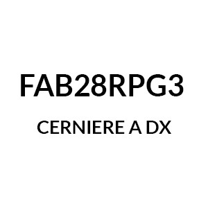 FAB28RPG3  - Cerniere a Dx