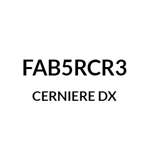 FAB5RCR3 - Cerniere DX