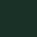 1252 - Legno verniciato Verde scuro