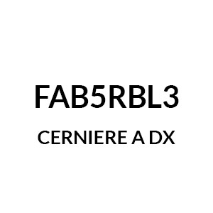 FAB5RBL3  - Cerniere Dx