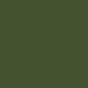 6003 - Polipropilene | Verde Felce
