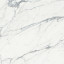 Marmo Opaco | Bianco Statuario