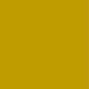 NCS S3060-Y - ≈ Polietilene/Giallo Curry