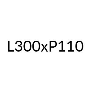 889PTA300MS - L 300 P 110 (+€ 692,88)