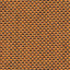 Cat. B/Tirella Canvas/Orange