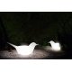 Pulcino luminoso by Eero Arnio Serralunga Outdoor Design ambientazione